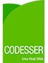CODESSER Logo